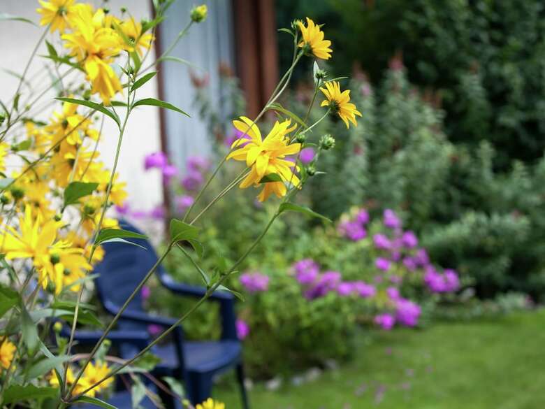 Cosy Chalet In M�hlbach With Private Garden