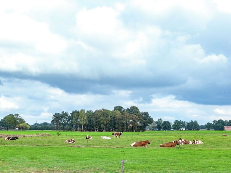 Charming Farmhouse In Haaksbergen Near Town Center