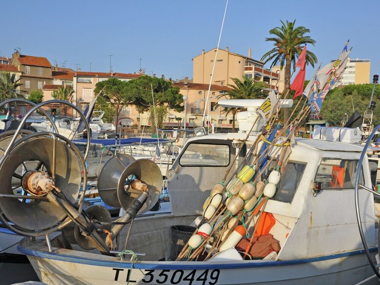 Villa With Guest Accommodation And Heated Pool In Sainte Maxime