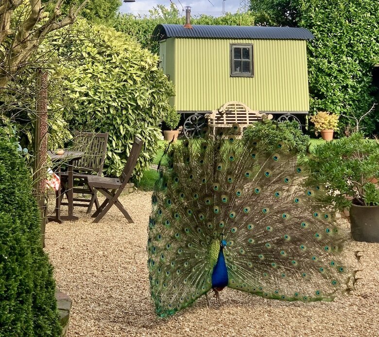 Hotel Ingoldfield Accommodation