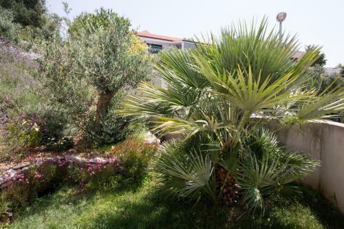 Apartments Lanterna