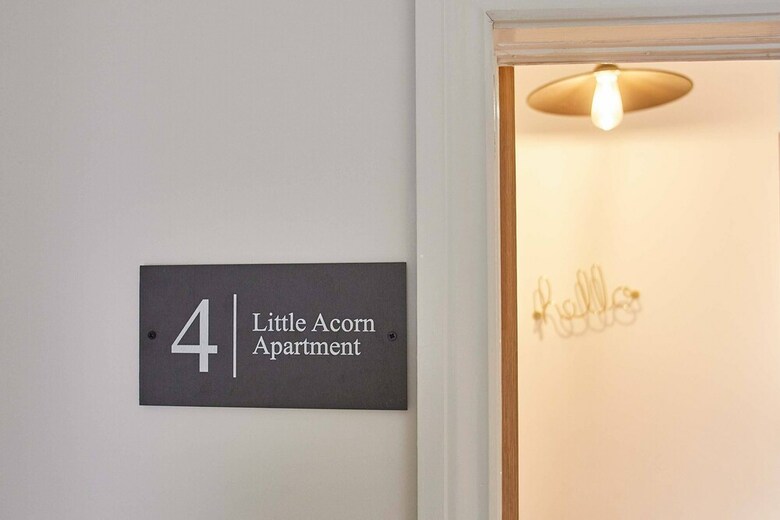 Little Acorn