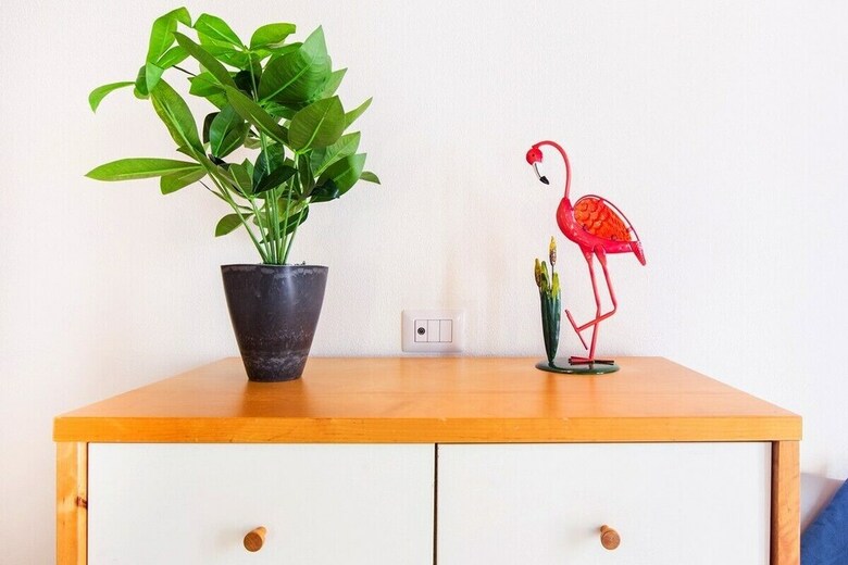 Apartamento Home Carales