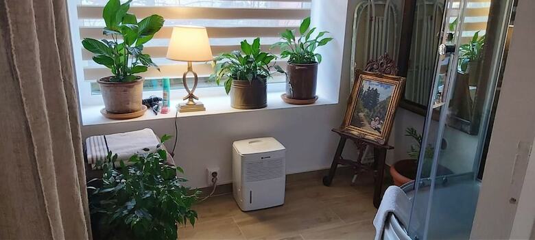 Apartamento Studio In Cluj-napoca, With Terrace And Wifi