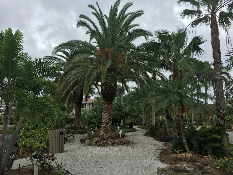 Apartamento The Conclare Beach Resort