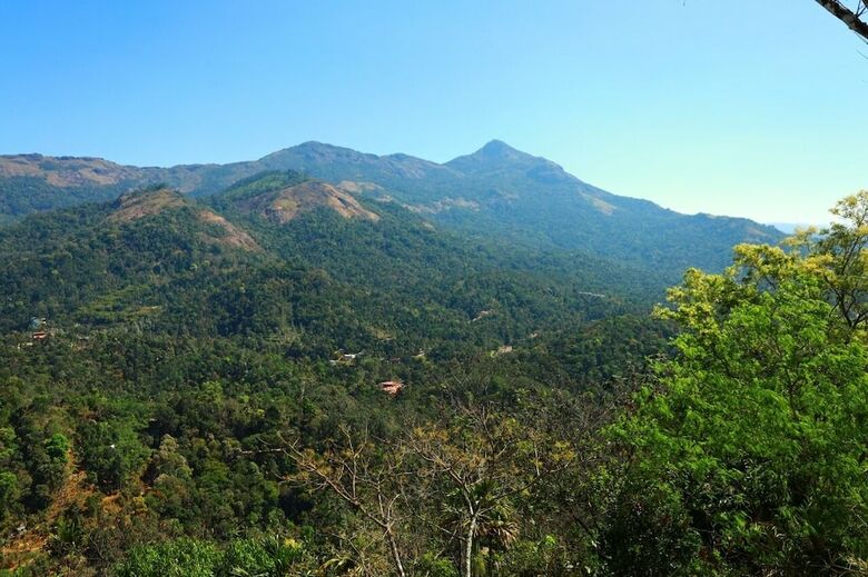 Hotel Foggy Dreamz Munnar