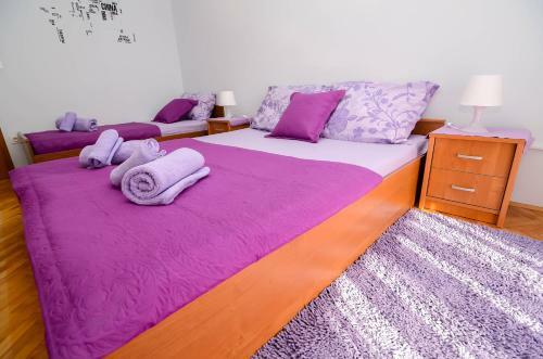 Apartments Amico