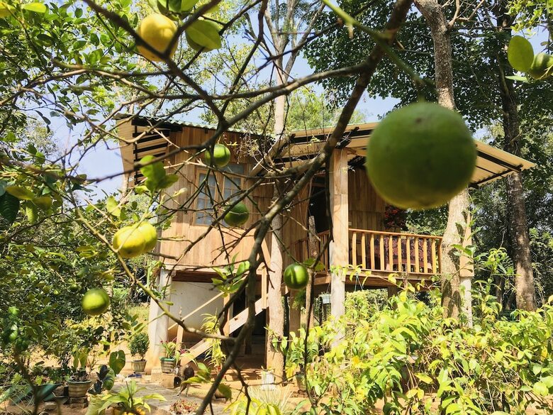 Bed & Breakfast Ruk Sewana Villa