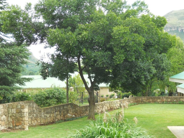 Apartamentos Bella Vista Self Catering
