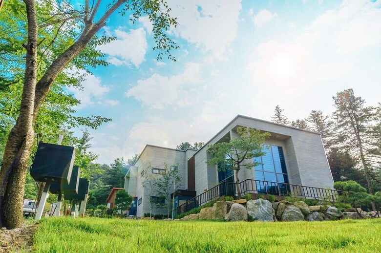 Pension Gallery 774