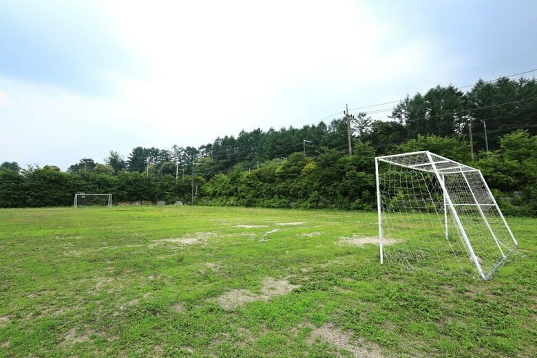 Pension Gold River Castle