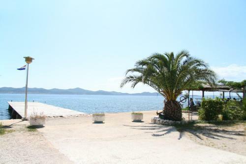 Apartments Ombla