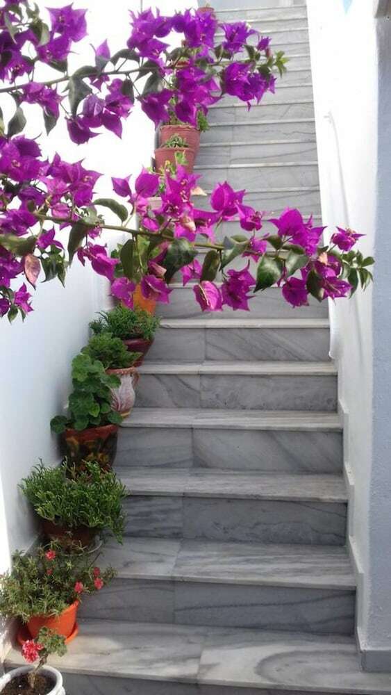 Ricos Two Bedroom Apartment - Naoussa Paros