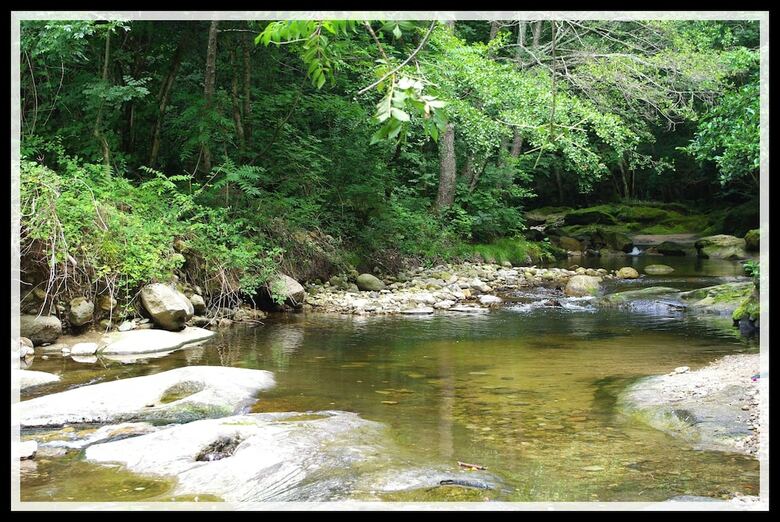 Camping Le Pastural