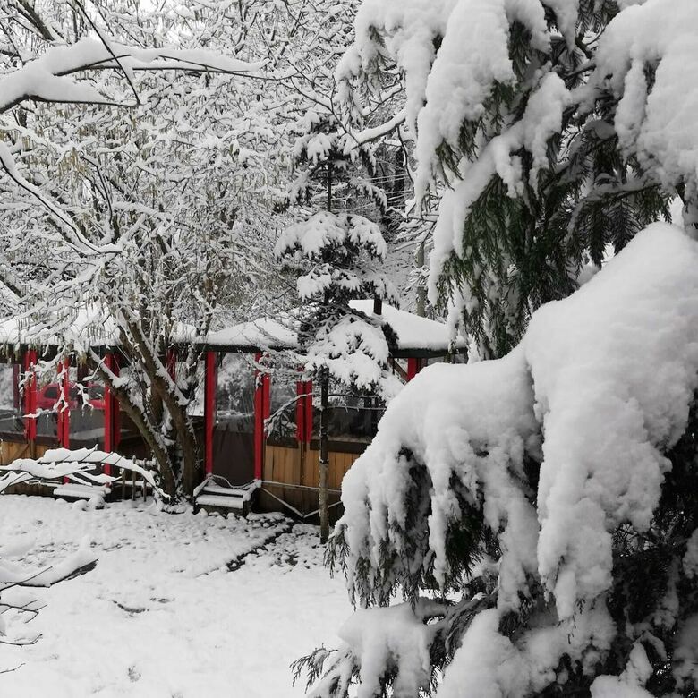 Cabana Yesil Dus Vadisi Bungalow Restoran