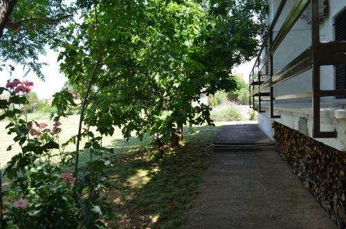 Apartments Niki