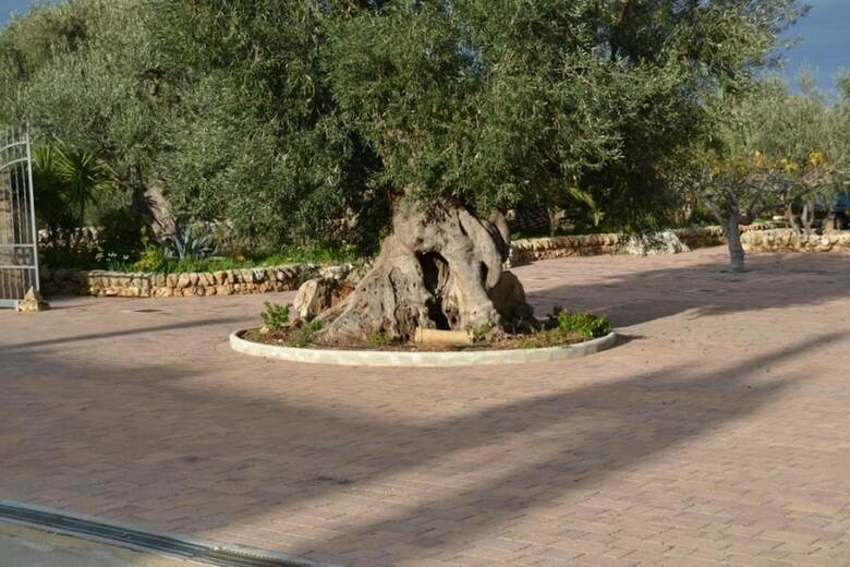 Agroturismo Masseria San Martino