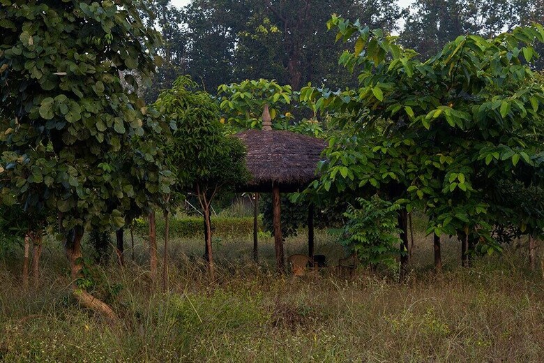 Hotel Aamod Bagh Tola Lodges - Bandhavgarh
