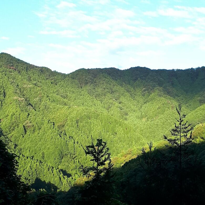 Yui Valley