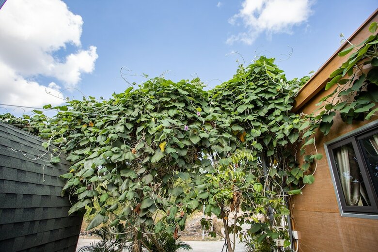 Hotel Oyo 952 Linh Dan Bungalow