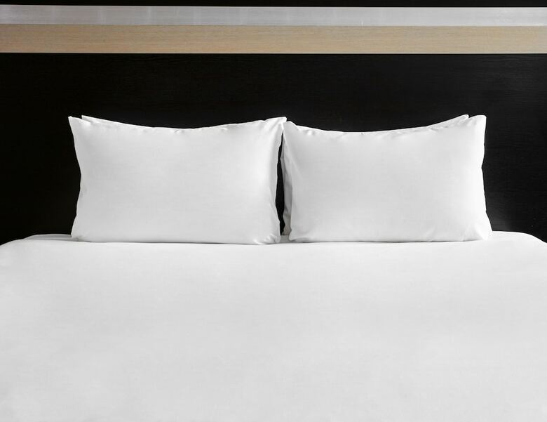 Hotel Holiday Inn Rochester Chatham