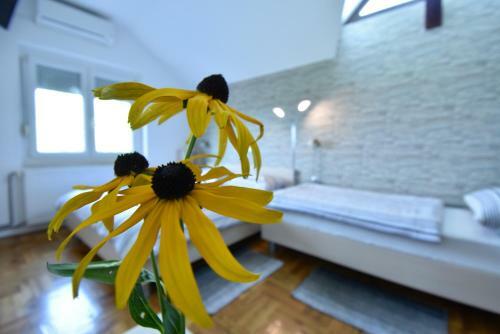 Apartamentos Guesthouse Obitelj Paulic