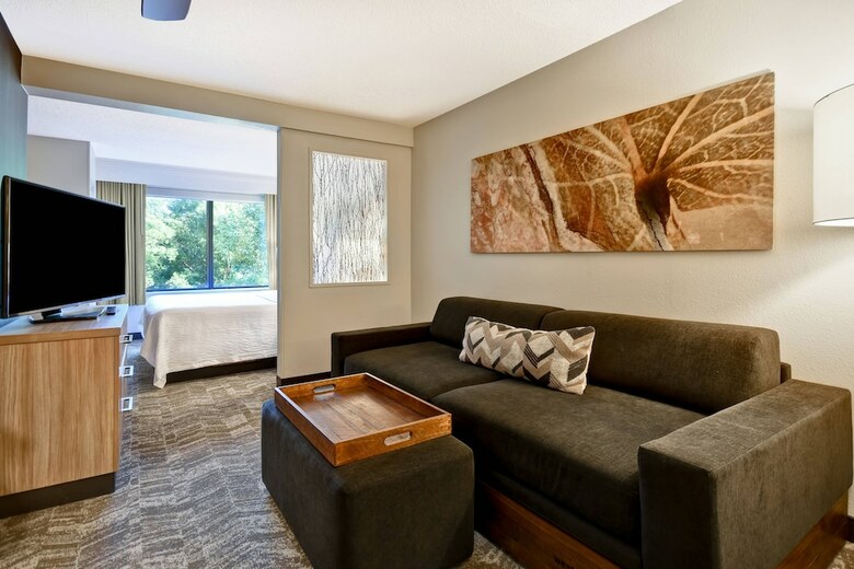 Hotel Springhill Suites By Marriott Atlanta Kennesaw