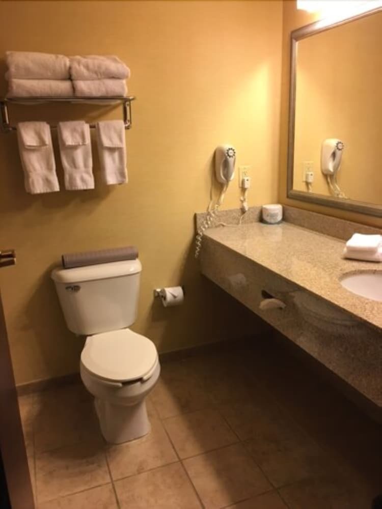 Hotel Comfort Suites West Indianapolis - Brownsburg