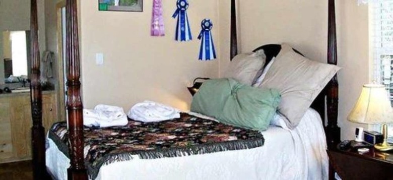 Bed & Breakfast Old Irish Bandb @ Patricks' Pastures Alpaca Ranch