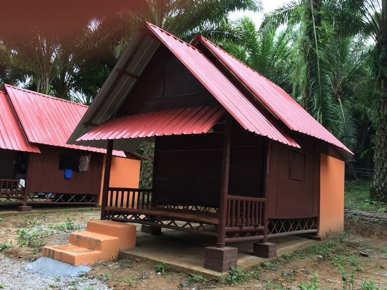 Hotel Khao Sok Evergreen House
