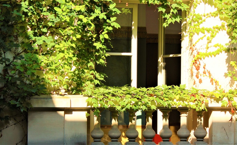 Hotel Le Relais Saint Sulpice