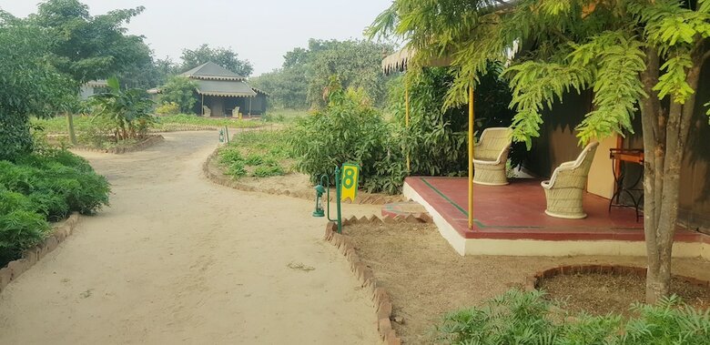 Orchard Tents & Tranquility