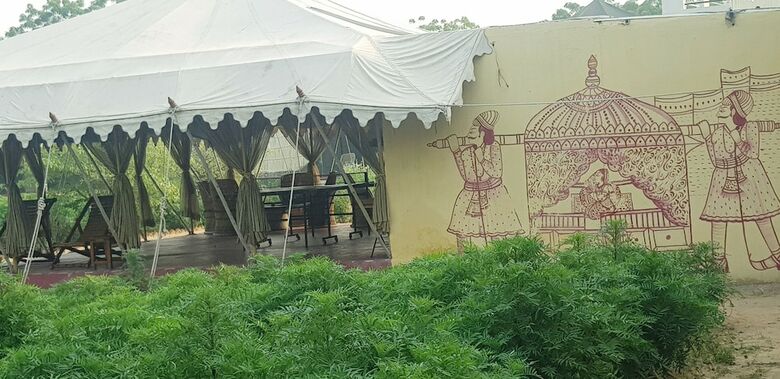 Orchard Tents & Tranquility