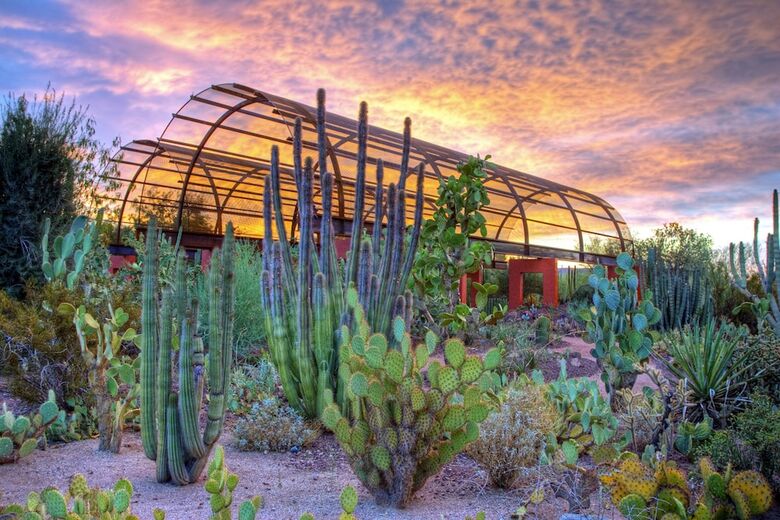 Hotel Crowne Plaza Phoenix - Phx Airport