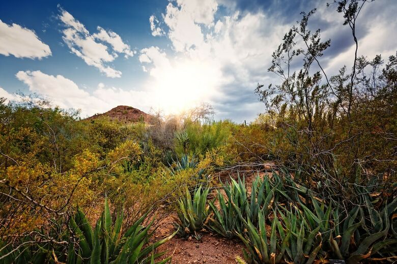 Hotel Crowne Plaza Phoenix - Phx Airport