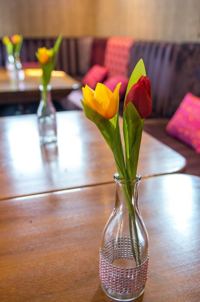Hostal King's Inn City Hostel - Hotel Alkmaar