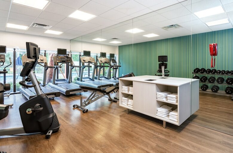 Hotel Holiday Inn Express Tampa-brandon