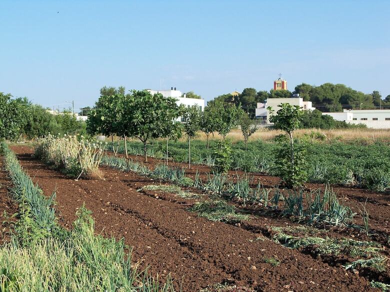 Agroturismo Agriturismo Il Pavone