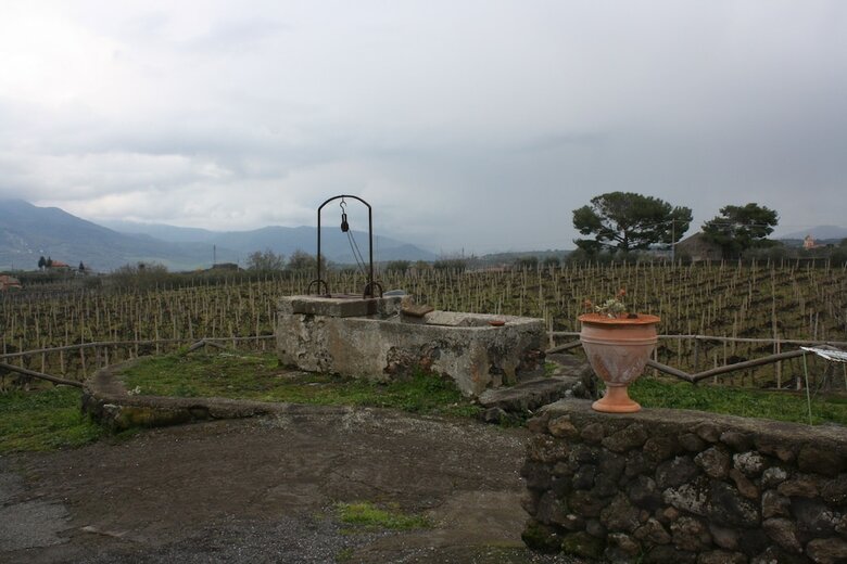 Agroturismo Etna Wine Agriturismo