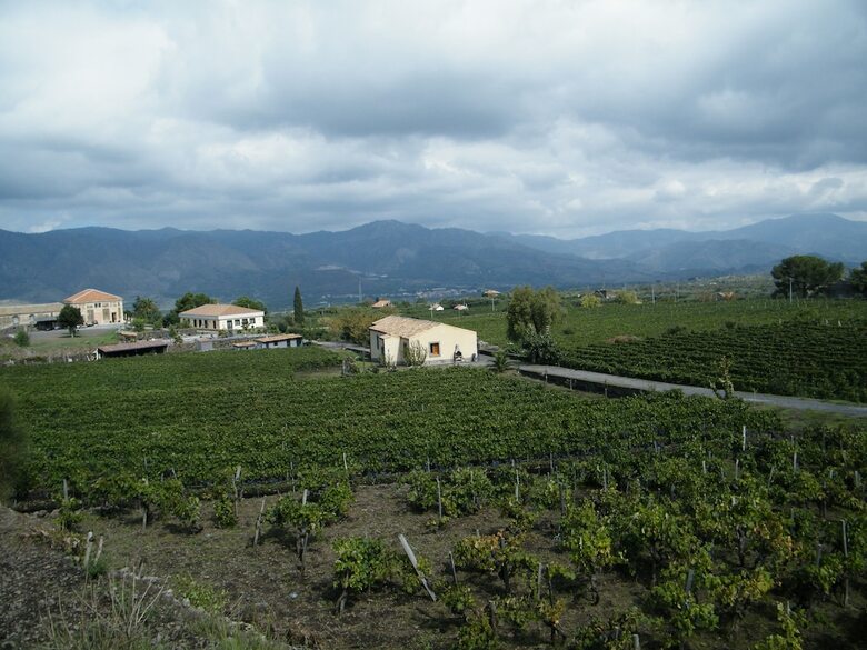 Agroturismo Etna Wine Agriturismo