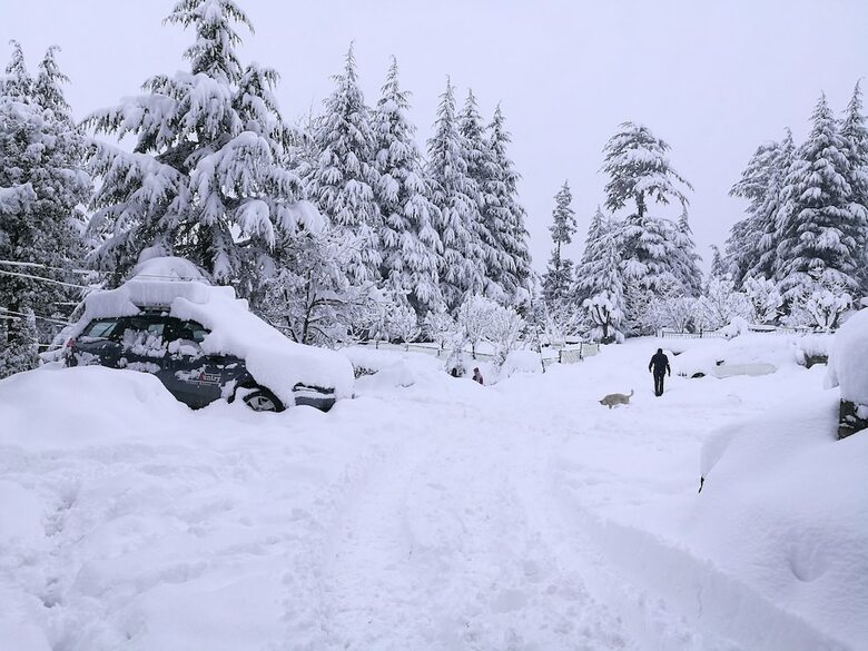 Apartamento Apple Country Resorts - Manali