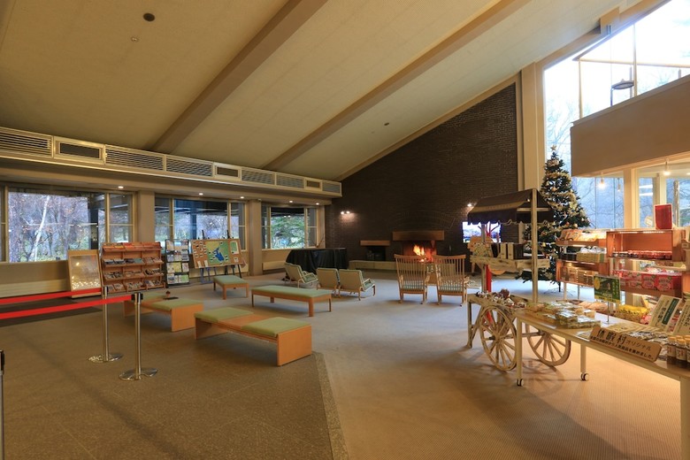 Hotel Kyukamura Nikko-yumoto