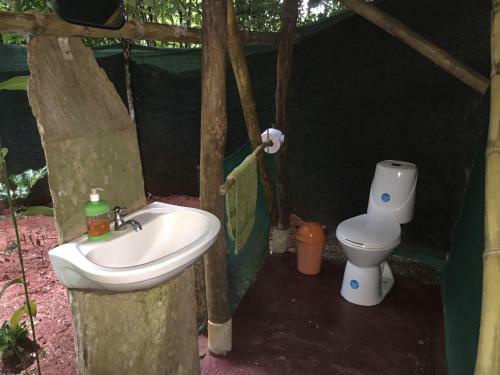 Isla Violin Eco-lodge