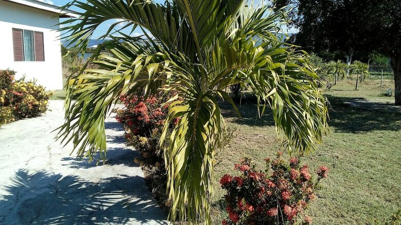 Hotel Treasure Bay Guesthouse