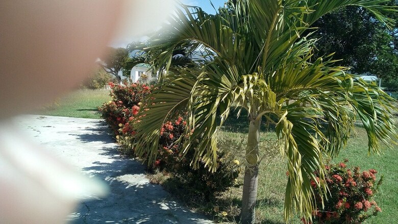 Hotel Treasure Bay Guesthouse