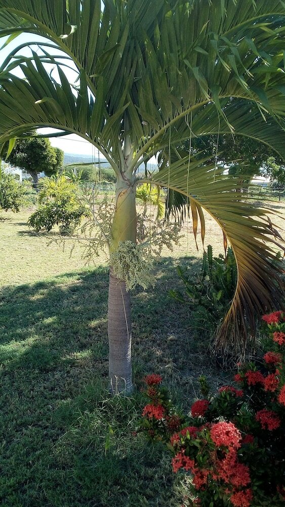 Hotel Treasure Bay Guesthouse