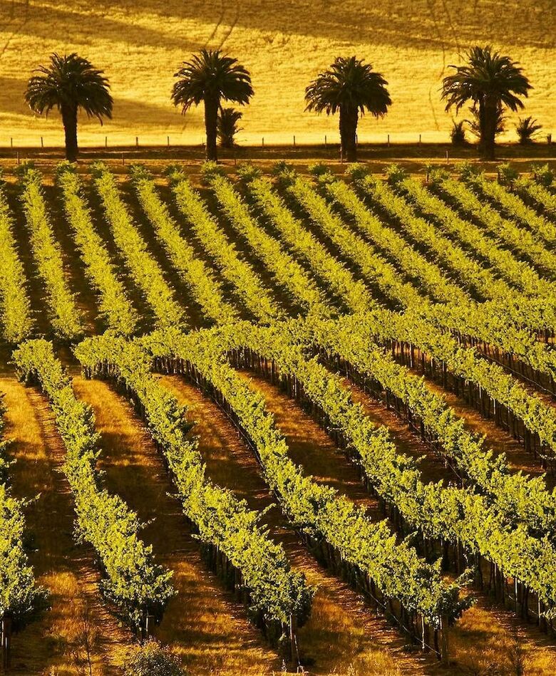 Rivergum Cottages Gawler Barossa Region