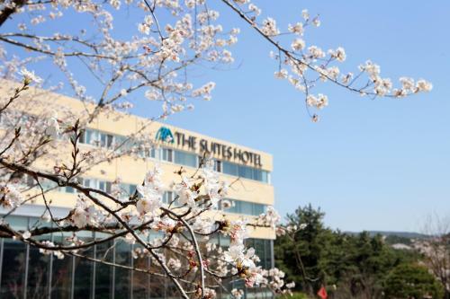 The Suites Hotel Gyeongju