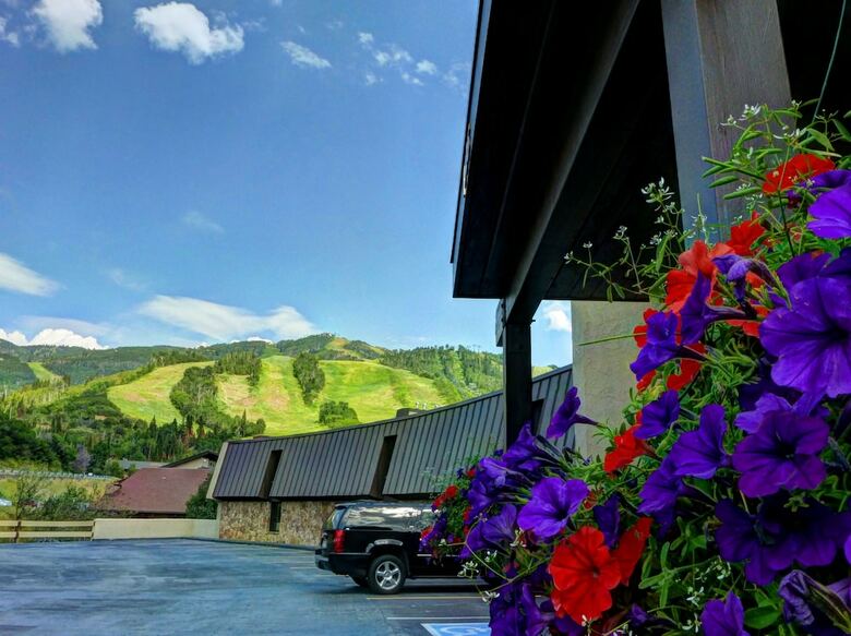 Bronze Tree Condominiums By Steamboat Resorts