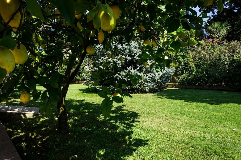 Apartamento Livingapple